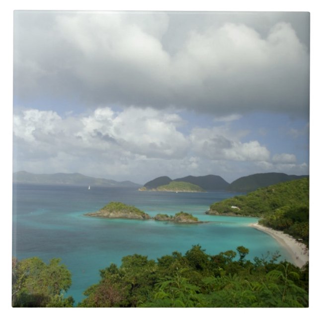 Caribbean, U.S. Virgin Islands, St. John, Trunk 3 Tile (Front)