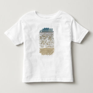Caribbean, U.S. Virgin Islands, St.Thomas, 2 Toddler T-shirt