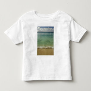Caribbean, U.S. Virgin Islands, St.Thomas, 4 Toddler T-shirt