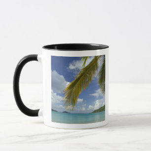 Caribbean, U.S. Virgin Islands, St.Thomas, Mug