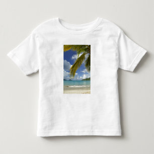 Caribbean, U.S. Virgin Islands, St.Thomas, Toddler T-shirt