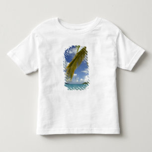 Caribbean, U.S. Virgin Islands, St.Thomas, Toddler T-shirt