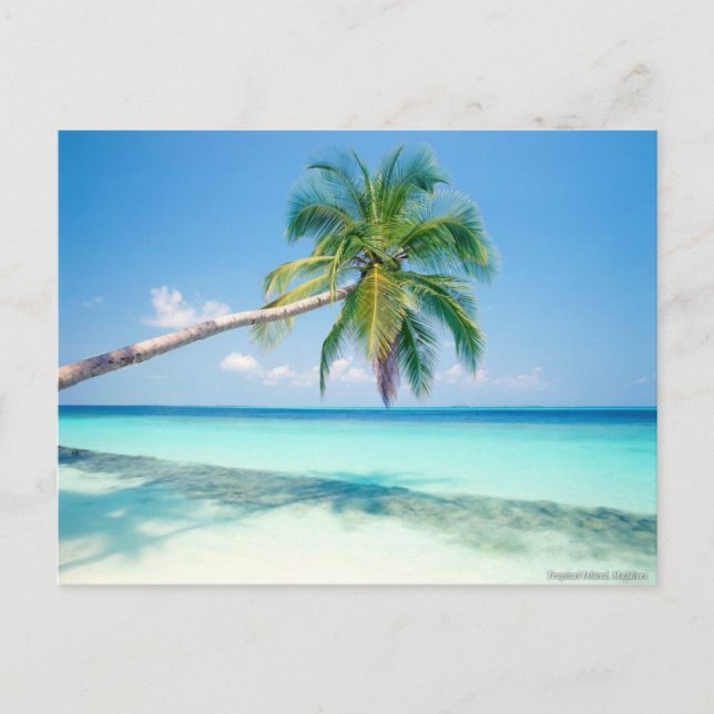 caribean beach post card (Front)