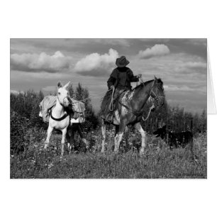 Cariboo Cowboy Cheval et Mule Cadeaux