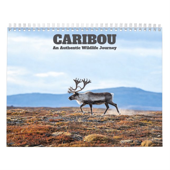 Caribou 2027 Wall Calendar (Cover)
