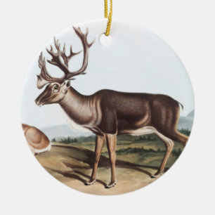 Caribou, American Rein Deer (Tarandus furcifer) Ceramic Ornament