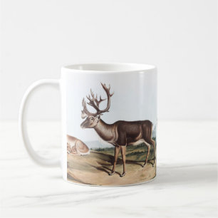 Caribou, American Rein Deer (Tarandus furcifer) Coffee Mug