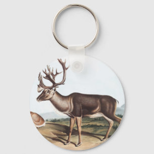 Caribou, American Rein Deer (Tarandus furcifer) Keychain
