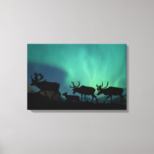 Caribou and Northern Lights Canvas Print