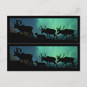 Caribou and Northern Lights Postcard