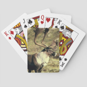 Caribou Bicycle Playing Cards