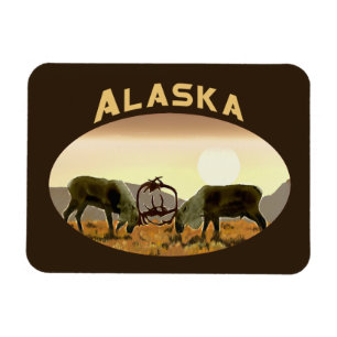 Caribou Duel - Alaska Magnet