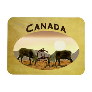 Caribou Duel - Canada Magnet