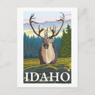Caribou in the Wild - Idaho Postcard
