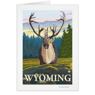 Caribou in the Wild - Wyoming