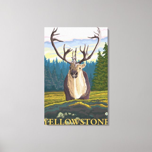 Caribou in the Wild - Yellowstone National Canvas Print (Front)