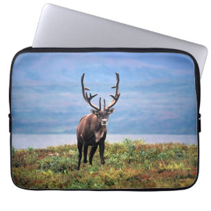 Caribou or Reindeer Denali National Park, Alaska Laptop Sleeve