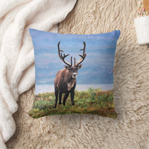 Caribou or Reindeer   Denali National Park, Alaska Throw Pillow