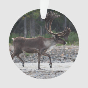 caribou ornament