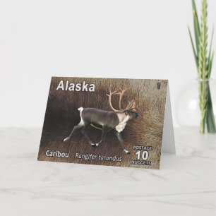 Caribou (Reindeer) - Alaska Postage Holiday Card
