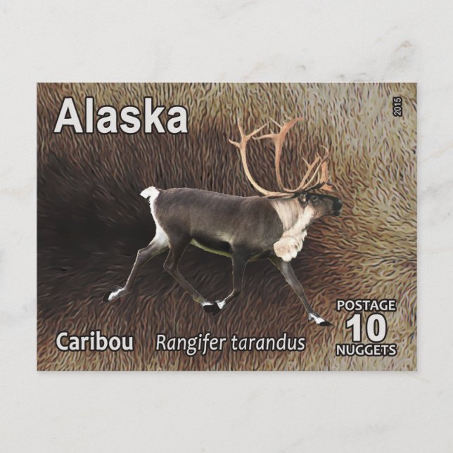 Caribou (Reindeer) - Alaska Postage Postcard (Front)