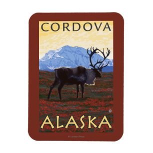 Caribou Scene - Cordova, Alaska Magnet