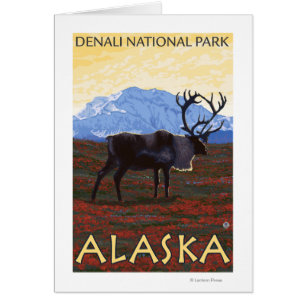 Caribou Scene - Denali National Park, Alaska