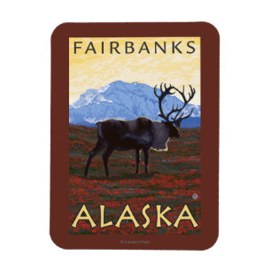 Caribou Scene - Fairbanks, Alaska Magnet