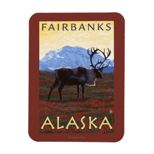 Caribou Scene - Fairbanks, Alaska Magnet