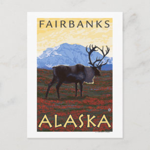 Caribou Scene - Fairbanks, Alaska Postcard