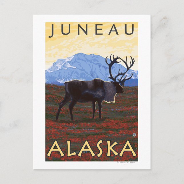 Caribou Scene - Juneau, Alaska Postcard (Front)