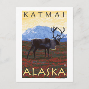 Caribou Scene - Katmai, Alaska Postcard