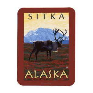 Caribou Scene - Sitka, Alaska Magnet