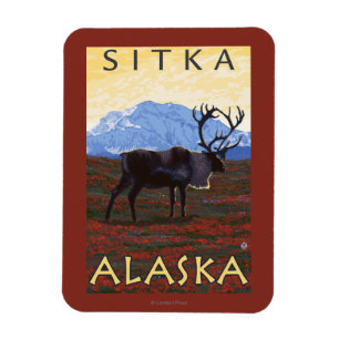 Caribou Scene - Sitka, Alaska Magnet