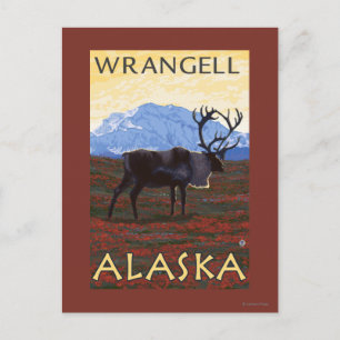 Caribou Scene - Wrangell, Alaska Postcard