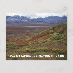 Caribou Tundra Turning Red MT McKinley National PK Postcard
