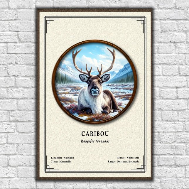 Caribou Zoology Series Poster (Creator Uploaded)