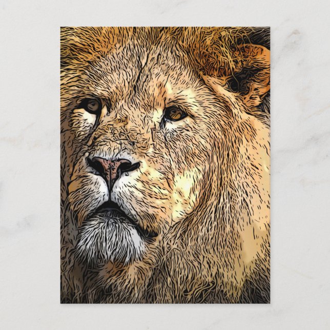 Caricature de lion masculin fun/nouveauté carte po (Devant)