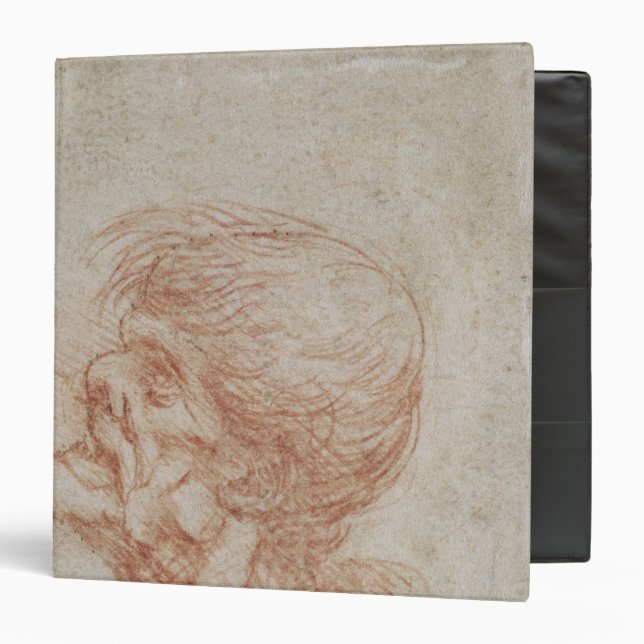 Caricature Head Study of an Old Man, c.1500-05 Binder (Front/Inside)