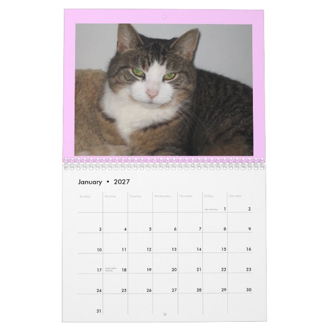 Caring About The Strays 2008 Wall Calender Calendar (Jan 2027)