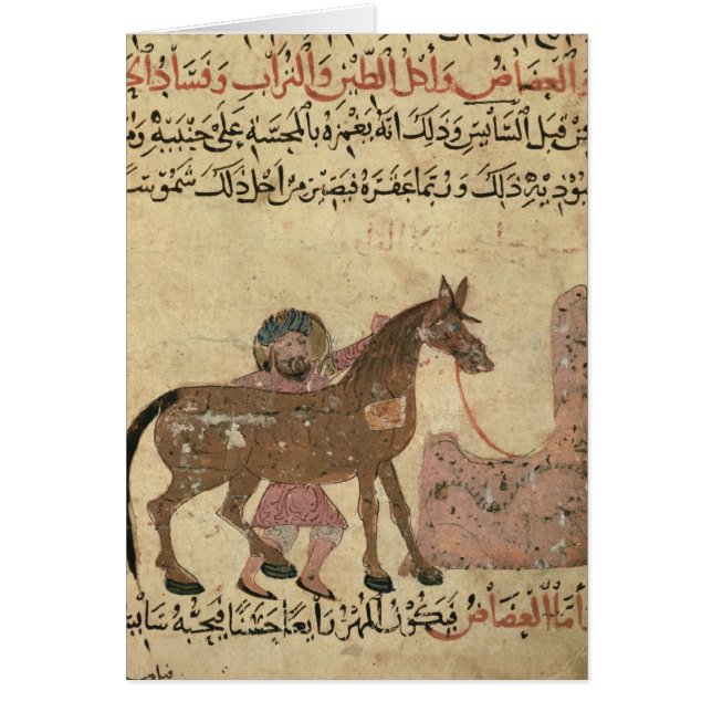 Caring for the horse, illustration (Front)