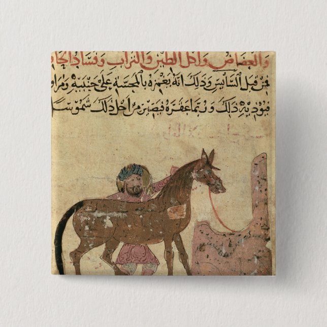 Caring for the horse, illustration 2 inch square button (Front)