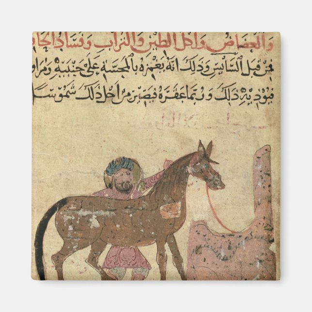 Caring for the horse, illustration magnet (Front)