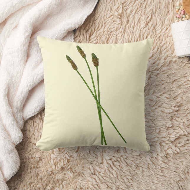 Carl Doddy  Throw Pillow (Blanket)