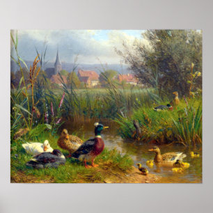 Carl Jutz Ducks Poster