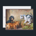 Carl Reichert Painting Brave Kitten Postcrossing Postcard<br><div class="desc">Carl Reichert Austrian painter Painting Brave Kitten Postcrossing Postcard</div>