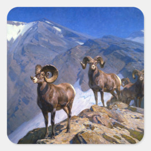 Carl Rungius Big Horn Sheep on Wilcox Pass Square Sticker