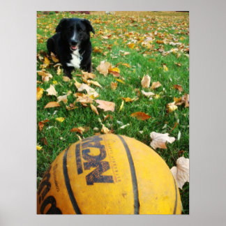 Carlee Poster