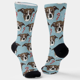 Carleigh Dog Socks