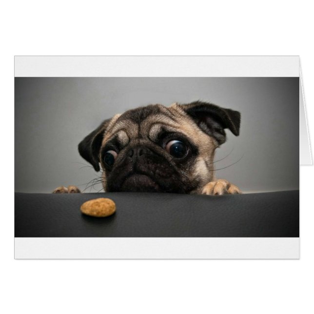 Carlin (Devant horizontal)